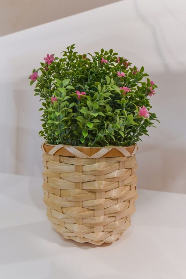 Bright, cosy & modern flat in the TOP centre