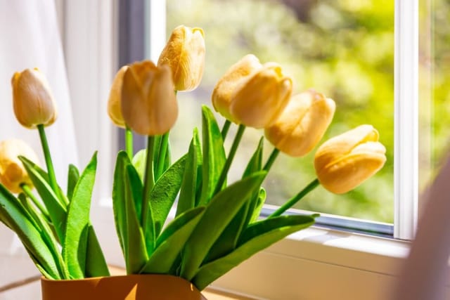 Happy People Plovdiv 1-BD Apartment - White