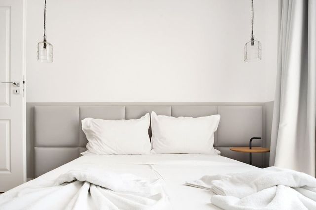 Bright 1BD Flat with Balcony in City Center Sofia