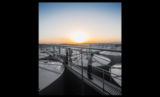 Douro and Porto Winery