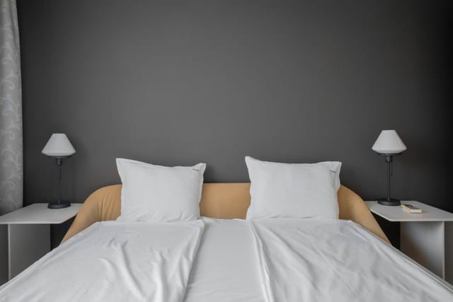 Central Luxurious 2 BD Flat near NDK