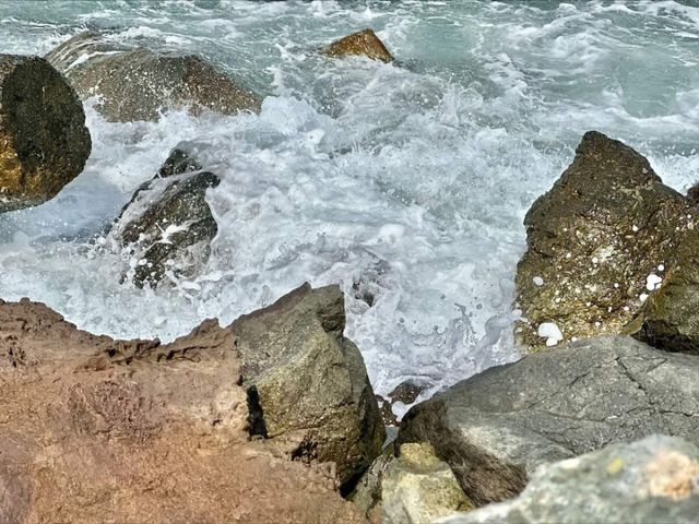 Family studio in Pomorie Bay