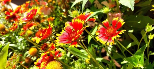 Cozy - Blue Marine - big 2-bedroom for 5 people