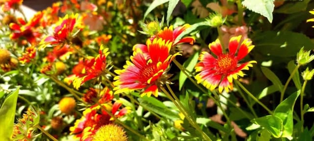 Cozy - Blue Marine - big 2-bedroom for 5 people - Photo 2