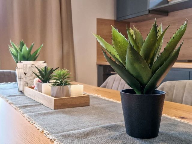 City Escape - 4 bedroom villa in Grand Therme