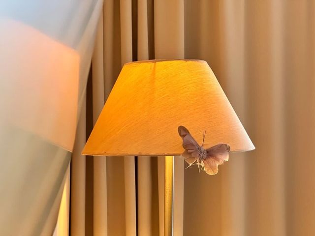 Cozy two bedroom in Royal Beach