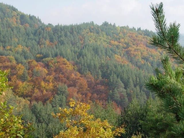 Old Marko's House Park and Lounge