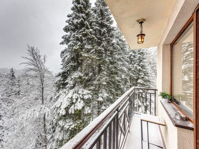 1BD Mountain Getaway in Pamporovo with Parking