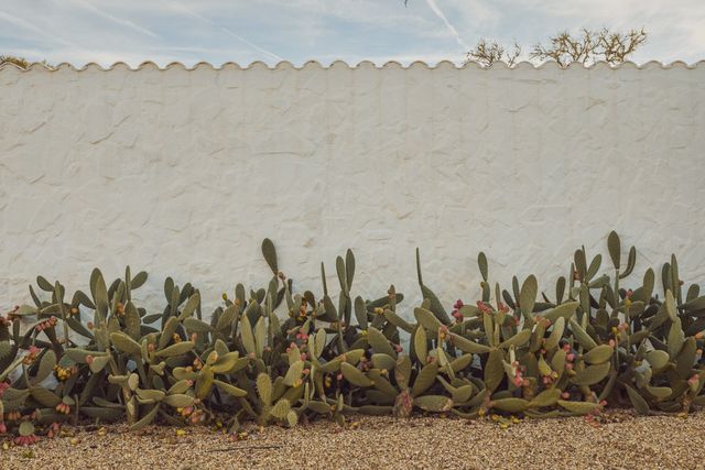 Casa da Volta — Contemporary Walled Villa with Courtyards & Exceptional Natural Light