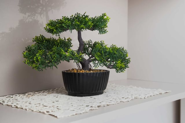 Sunny & Modern 1BD Apartment