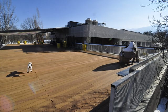 Center for contemporary arts TOPLOCENTRALA