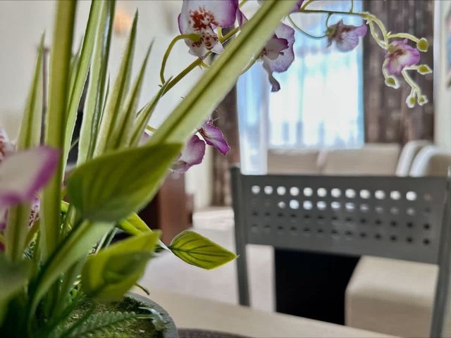 Cozy  Grenada  Apartment for 4 people