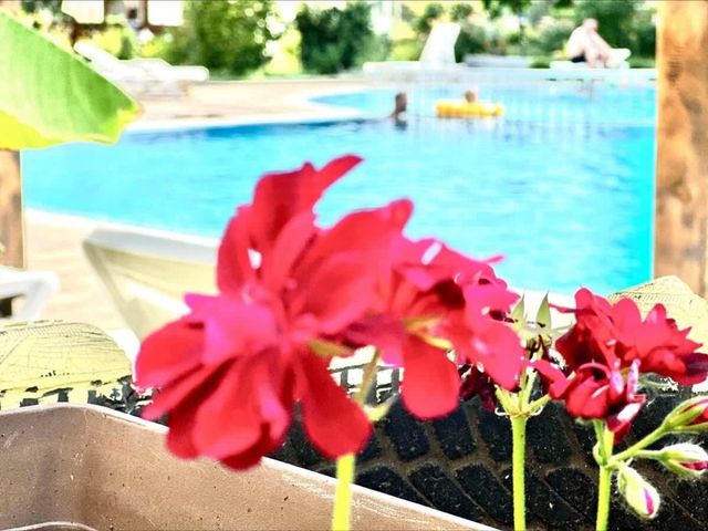 Cozy Chateu Aheloy 2  family studio