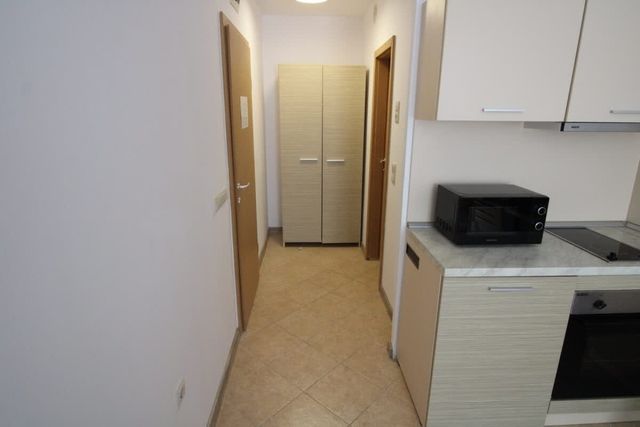 Cozy studio for family in Royal Sun