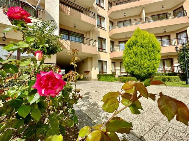 Cozy studio in Sea Dreams