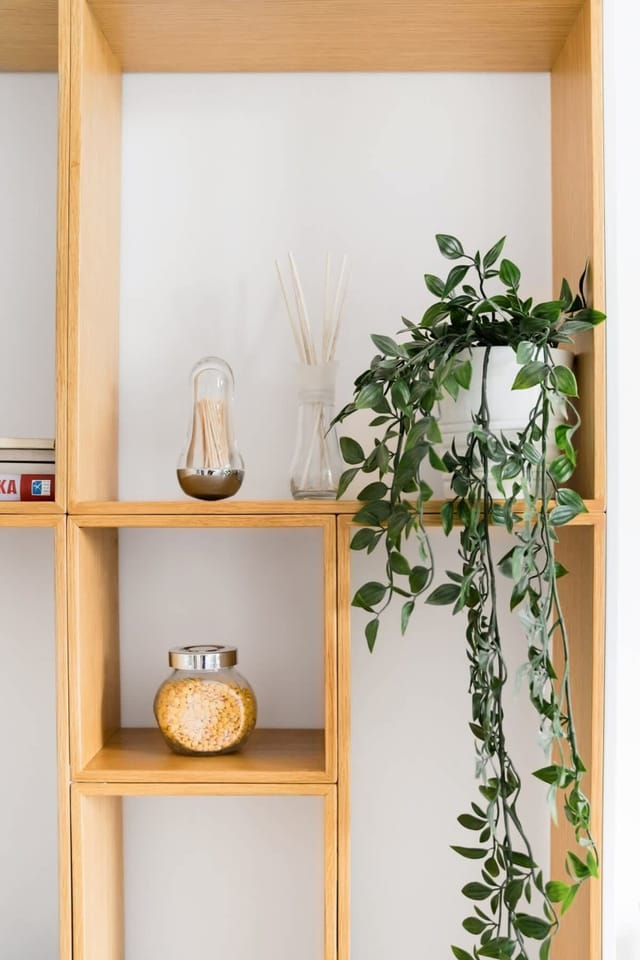 Hip, Cosmopolitan Gem in the Heart of Sofia