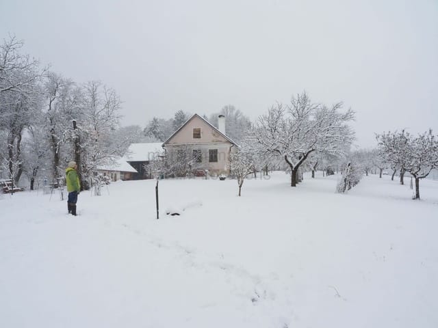 Location 293 - Photo 3