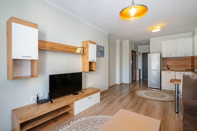 1BD Apartment in Sofia City Center