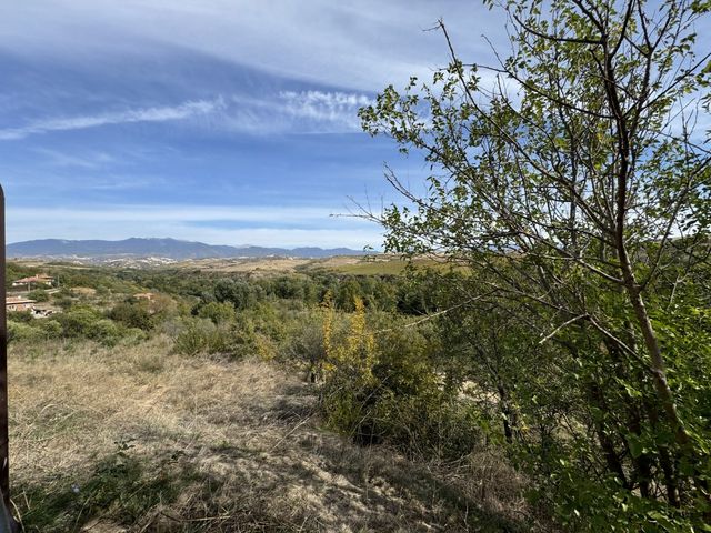 Zornitza Family Estate - Winery