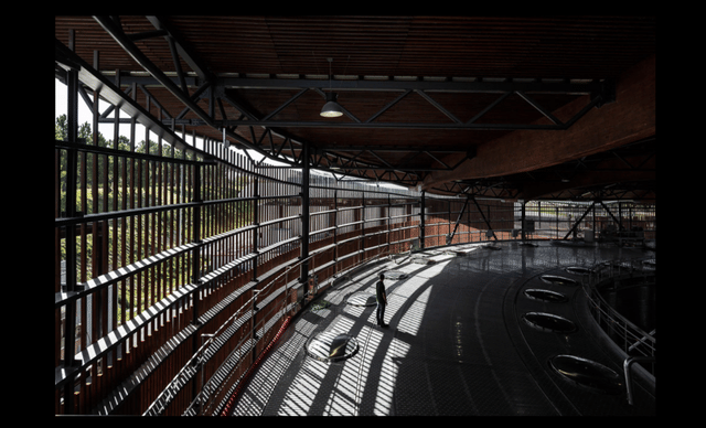 Douro and Porto Winery - Photo 4