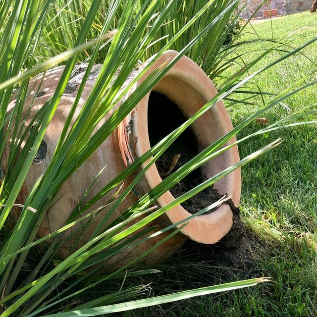 Sorrento Cozy Studio