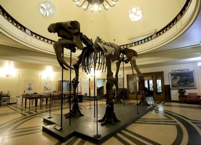 SOFIA UNIVERSITY ST. KLIMENT OHRIDSKI