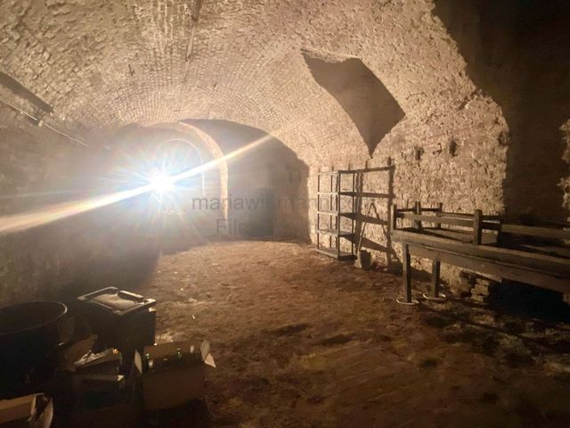 Expansive Historic Brick Vaulted Basement Storage