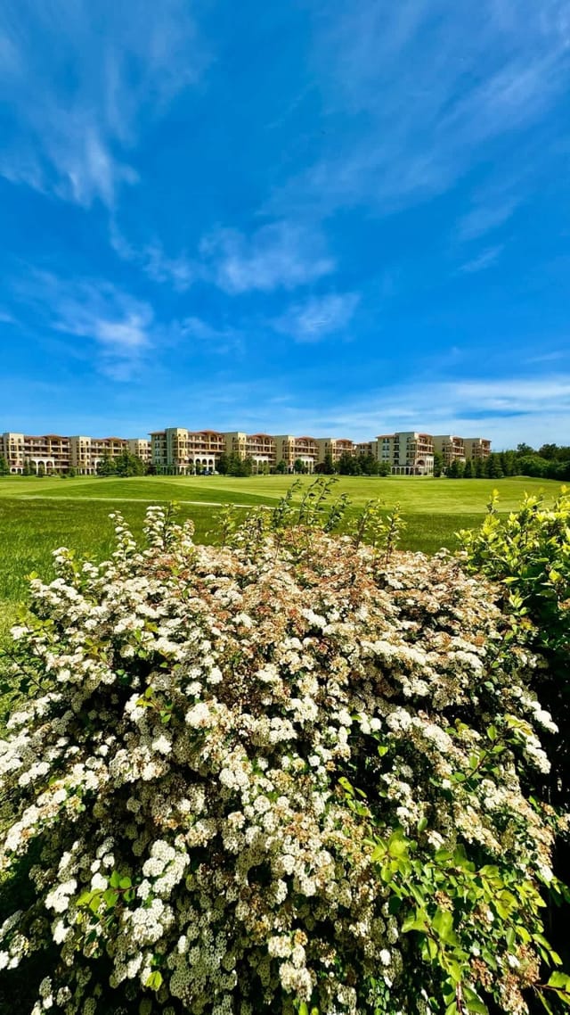 Boutique House Blue Lagoon