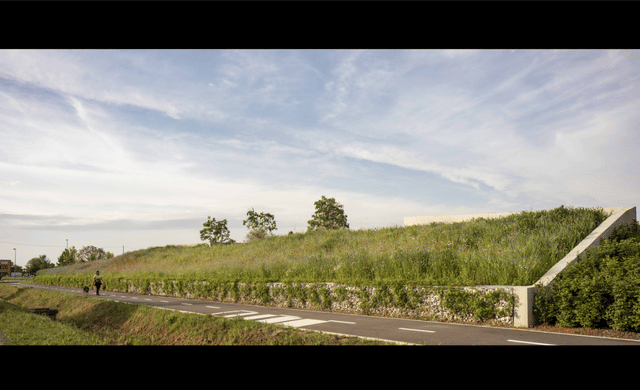 The Orangeale Factory