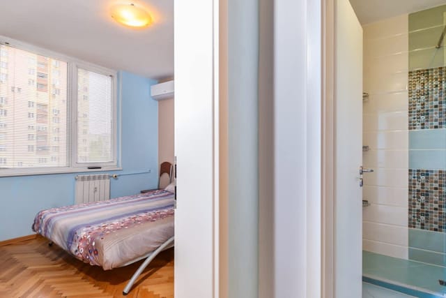 Comfortable One Bedroom Apartment in Zona B5