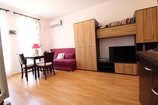 Sunny Day 6 Family Studio