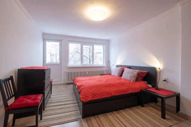 LZ Spacious One Bedroom Apartment in Top Centre - Photo 4