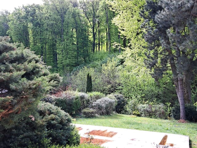 Location 512 - Photo 3