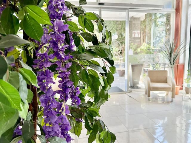 Miramar Palace Studio with Balcony