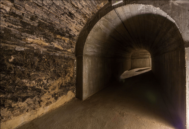 Dominio del Pidio Winery