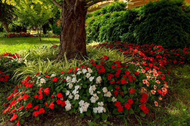 Cozy Aheloy  Deluxe studio, sea view