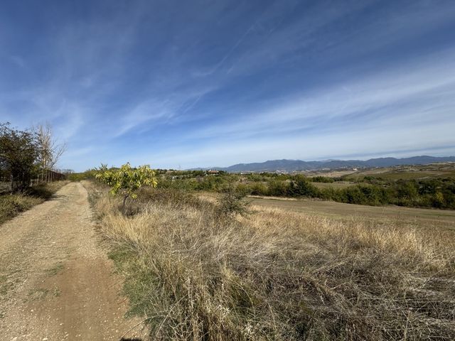 Zornitza Family Estate - Farm