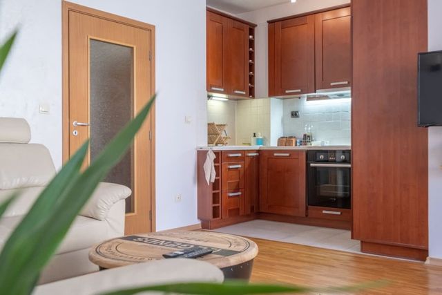 Spacious 1 bedroom apartment in a lively center