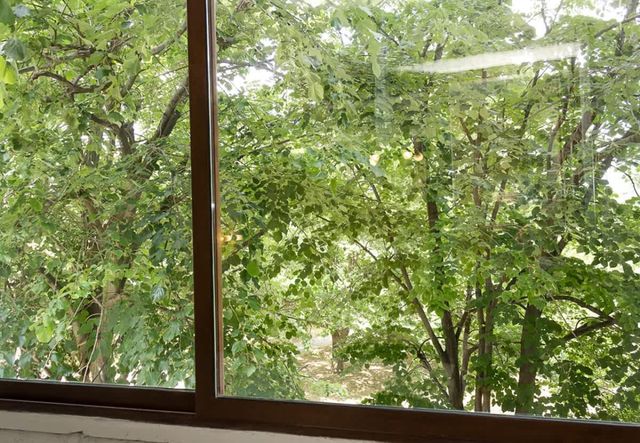 Chayka Charm Cozy 1BD Apartment in Varna