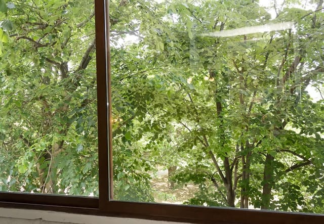 Chayka Charm Cozy 1BD Apartment in Varna