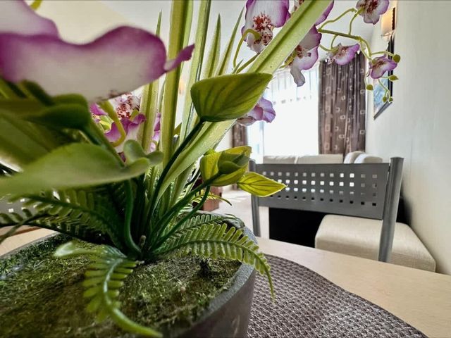 Cozy  Grenada  Apartment for 4 people