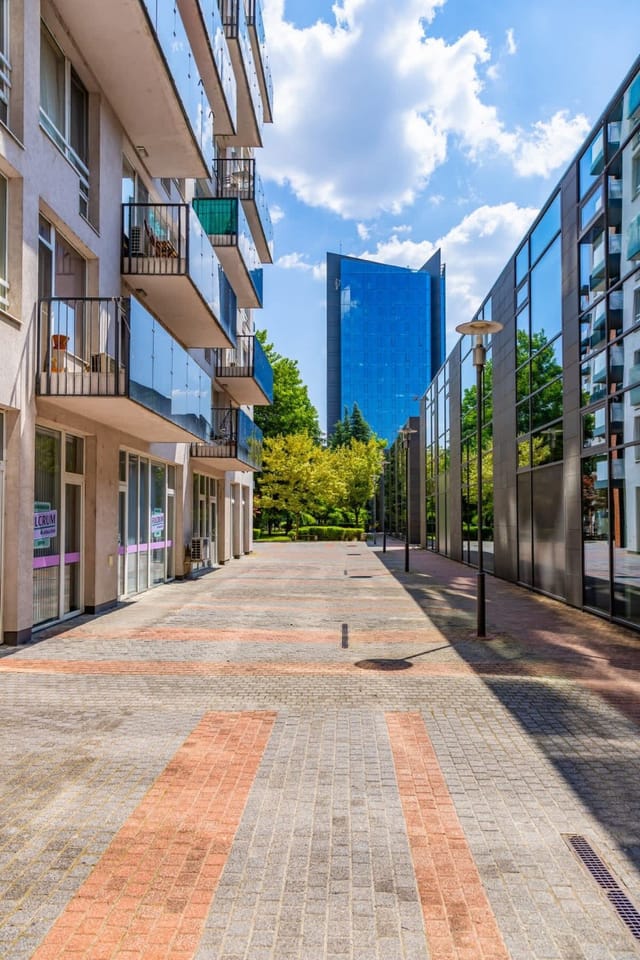 Modern 1BDR Apartment in a New Building