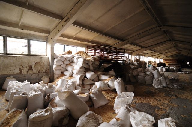Industrial building - woodworking/carpentry shop, old cow barns - former collective farm from the socialist regime