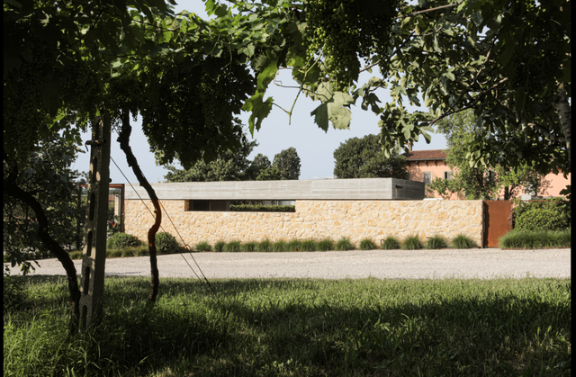 Il Brolo della Cantina Gorgo Winery