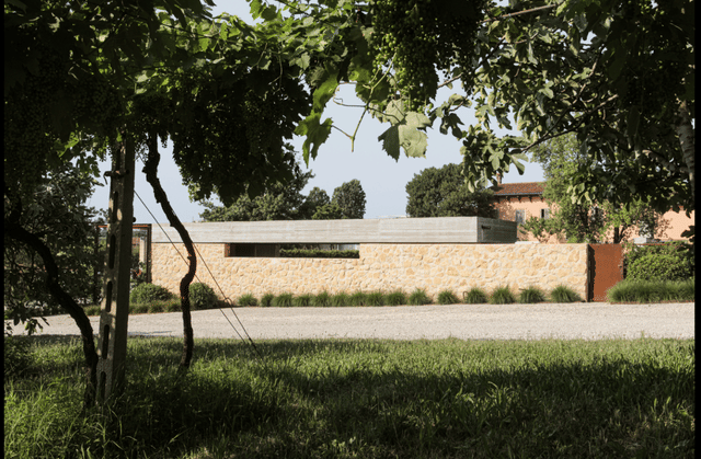 Il Brolo della Cantina Gorgo Winery - Photo 2