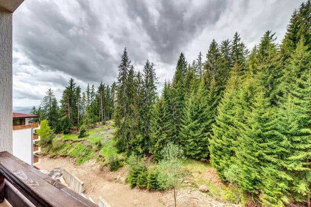 Forest Harmony 1BD with Balcony & Parking