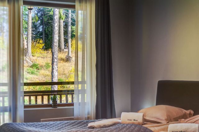 Alpine Escape at Dream View