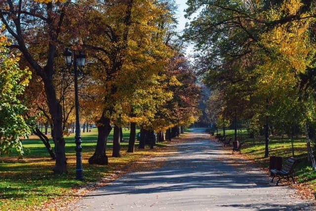 Sofia’s Best Area - Workspace+300 MBPS WiFi