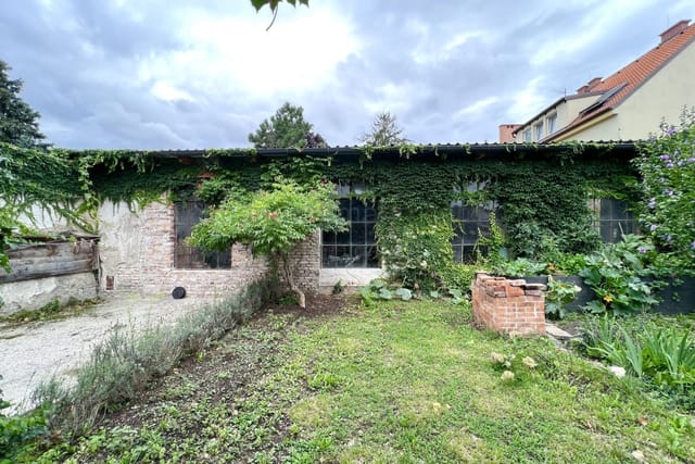 Location 264 - Photo 3