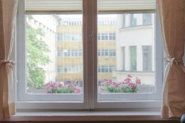 The Top Spot - Cute Little Studio in the Center